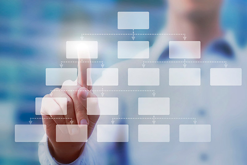 seleccion de altos ejecutivos